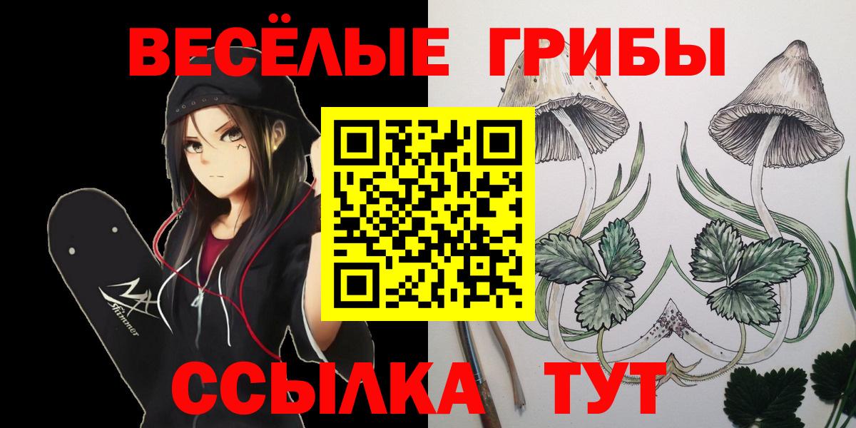 закладки  Галлюциногенные грибы мухоморы  Вход с VPN  Псилоцибиновые грибы Psilocybe  Ростов Великий 